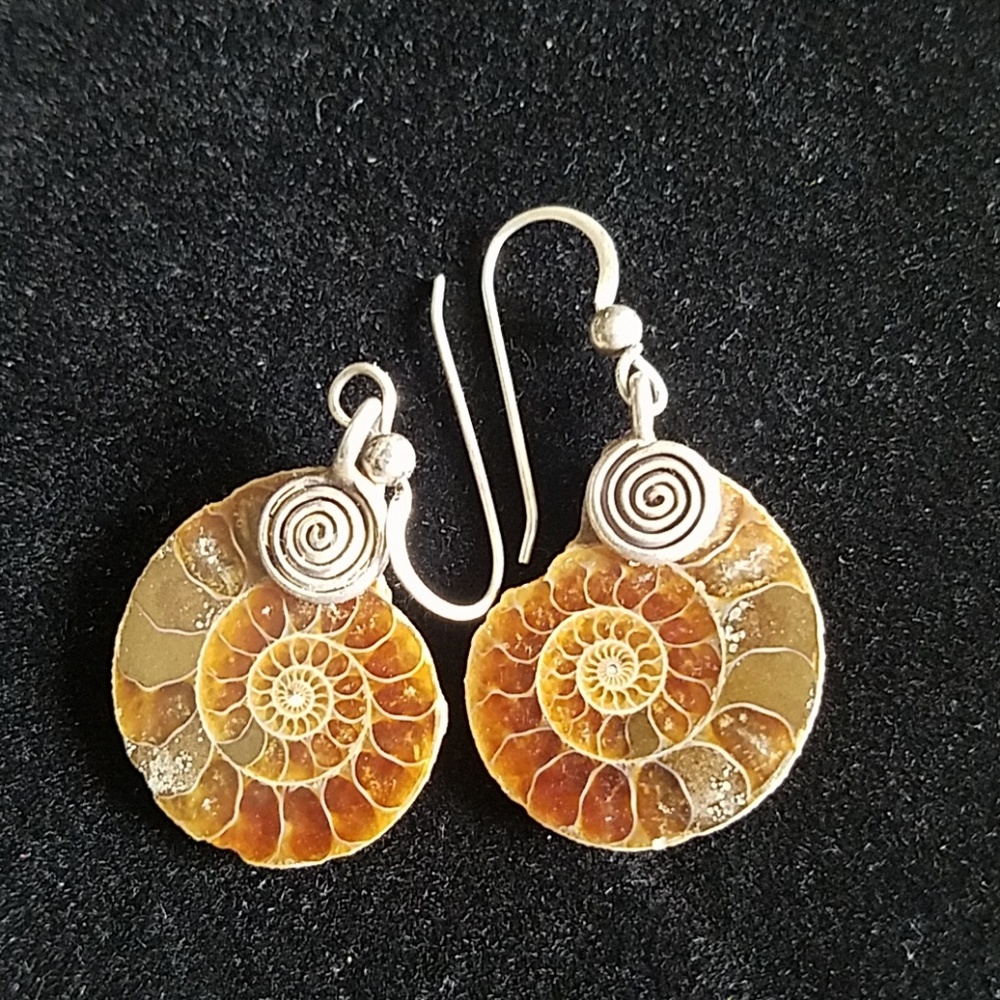 Real Fossil Ammonite Earrings Sea Snail Boho